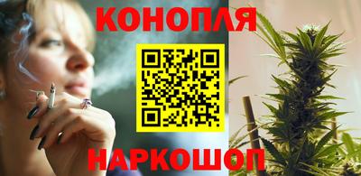 соль ск Новозыбков